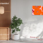 Primavera_orpk6545